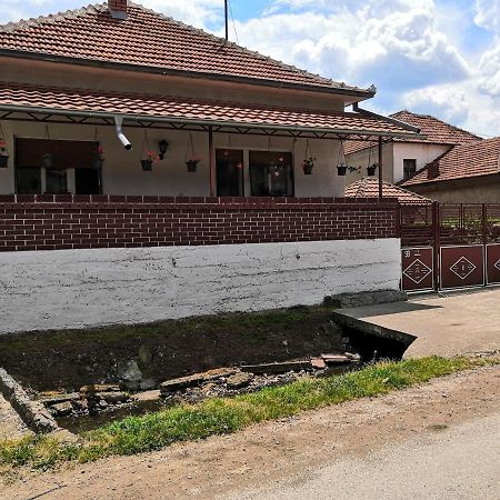 Kuca Mijalkovic Apartman Pirot Kültér fotó