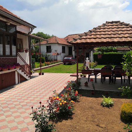 Kuca Mijalkovic Apartman Pirot Kültér fotó