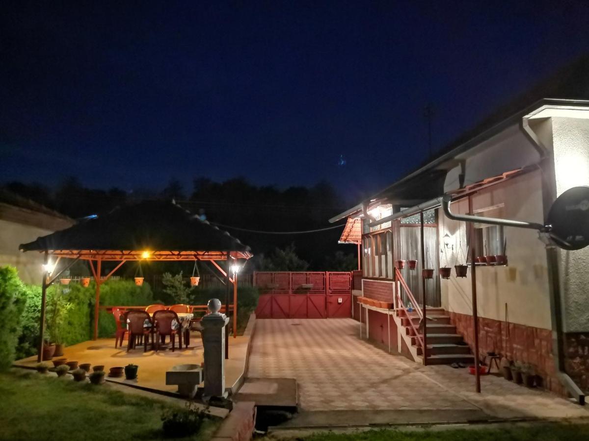 Kuca Mijalkovic Apartman Pirot Kültér fotó