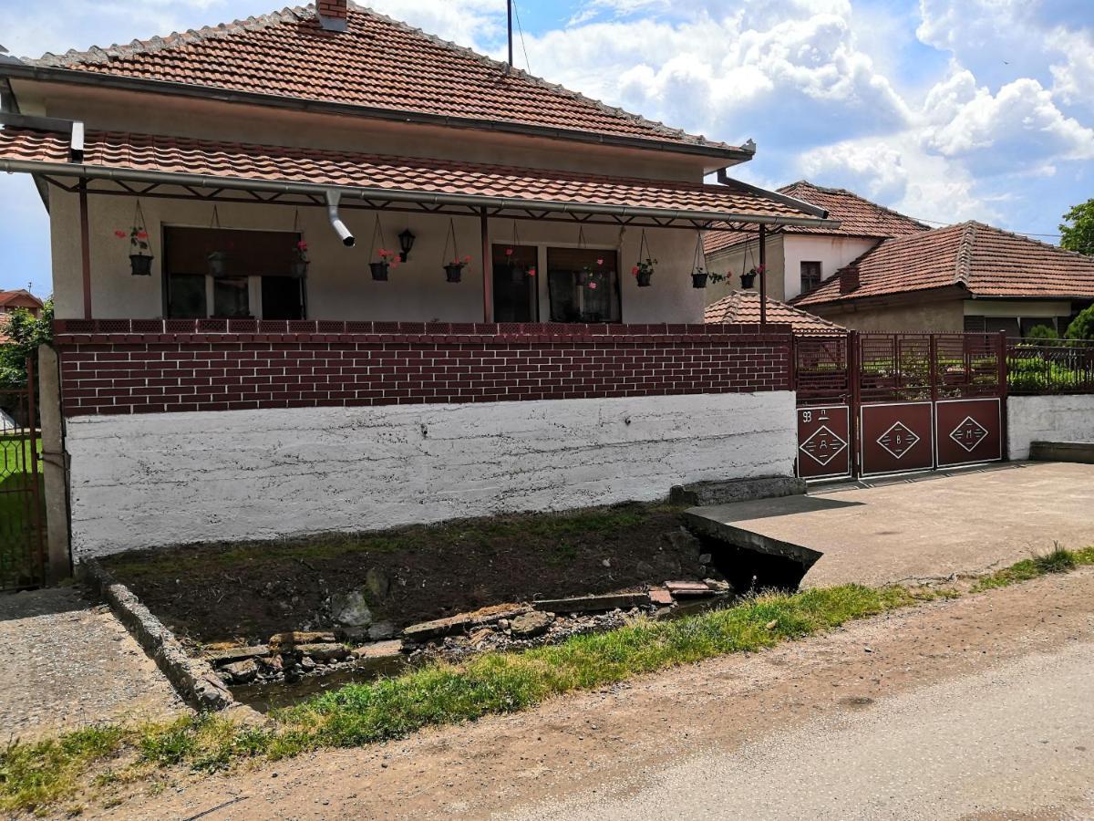 Kuca Mijalkovic Apartman Pirot Kültér fotó
